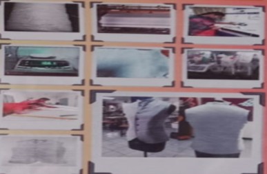 Picture9